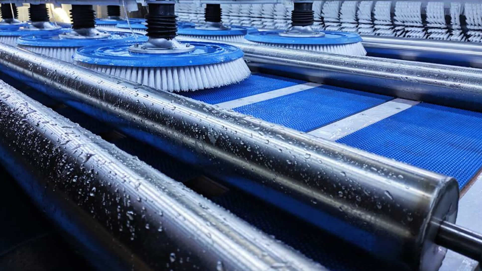 pralnia-wicher-automatyczne-czyszczenie-dywanow-zdjecie-glowne-v5